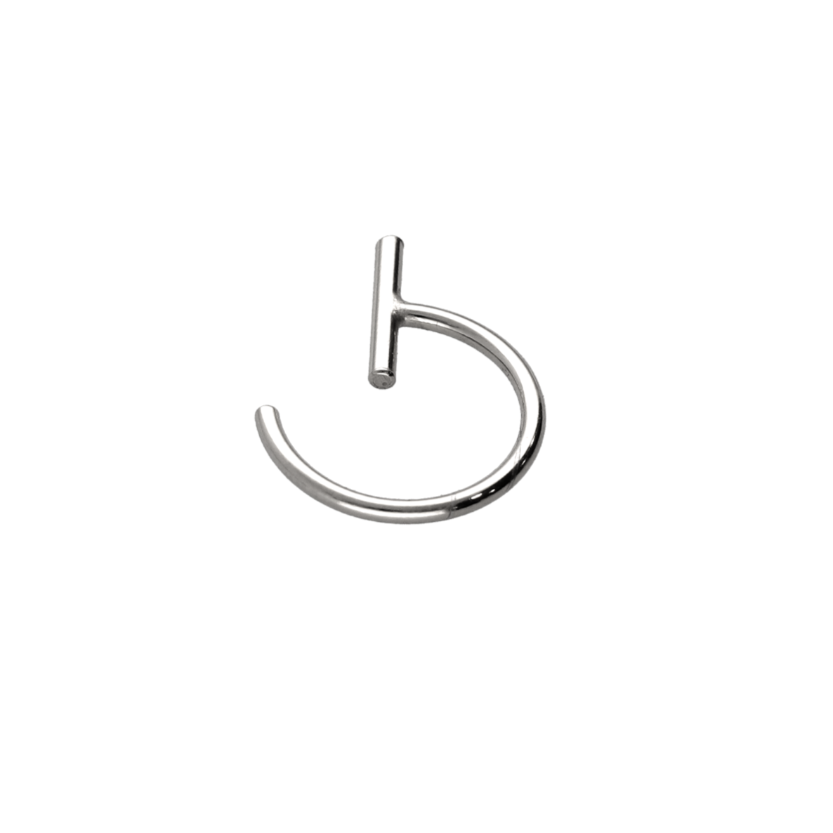 Paula silver earrings