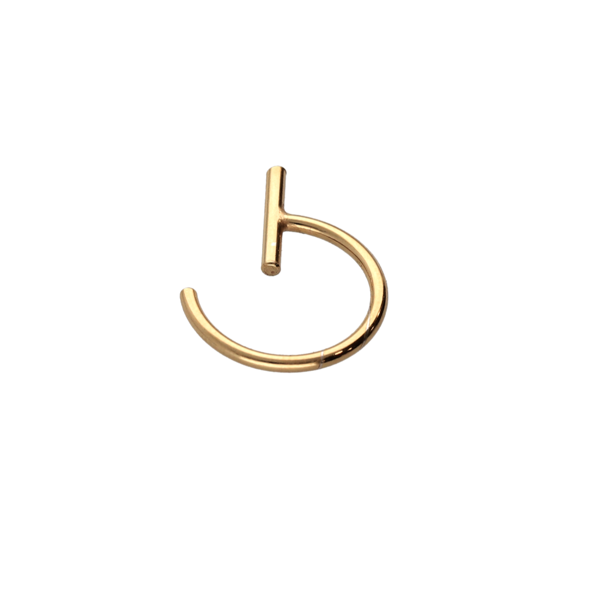 Paula gold earrings