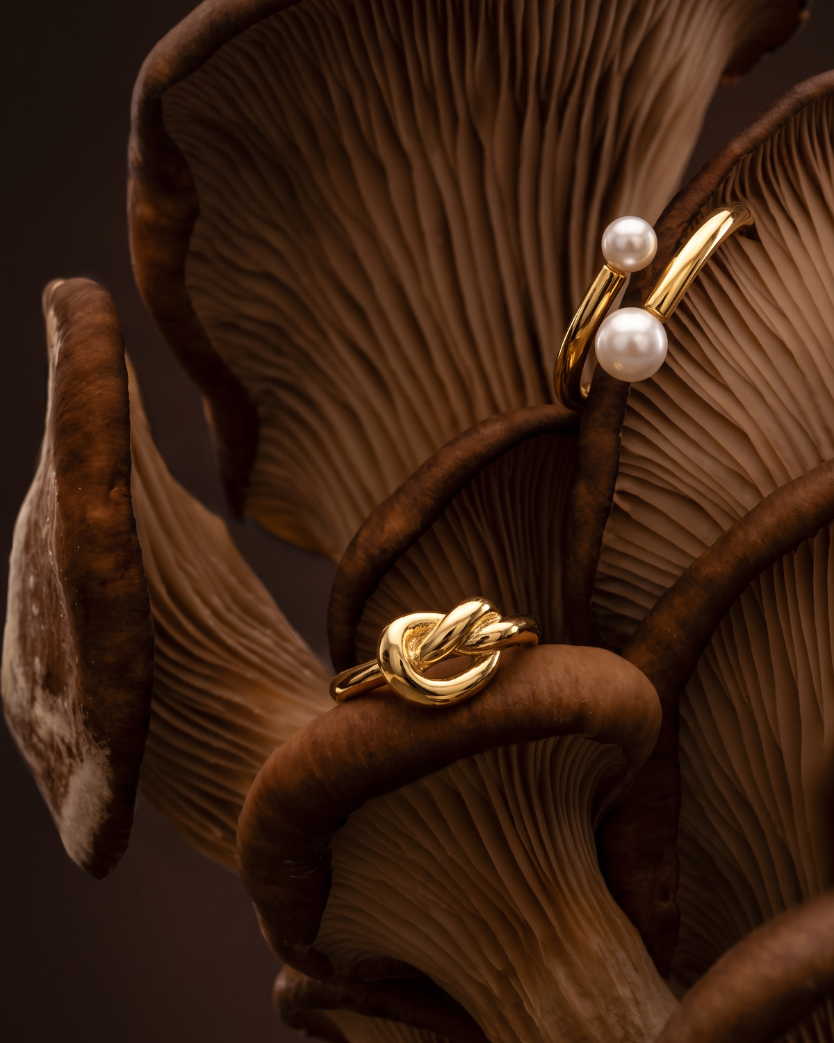 coleccion anillos - Bendita Eva