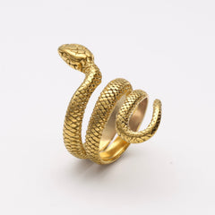 Ring Sin