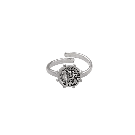 Cargar imagen en el visor de la galería, El Anillo de plata Family es una moneda antigua vikinga que simboliza la familia y la unión de las personas. Un amuleto para sentirte cerca de tus seres queridos. Es una joya fabricada en Plata de Ley 925.

